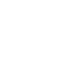 Branding Icon